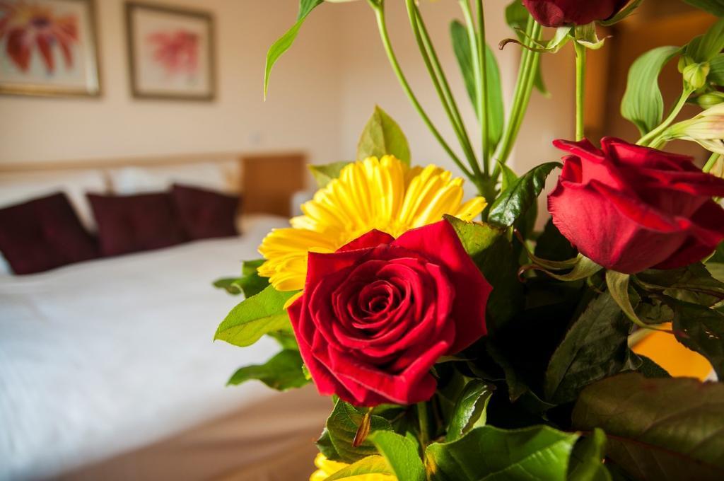The Arches Hotel Claregalway Dış mekan fotoğraf